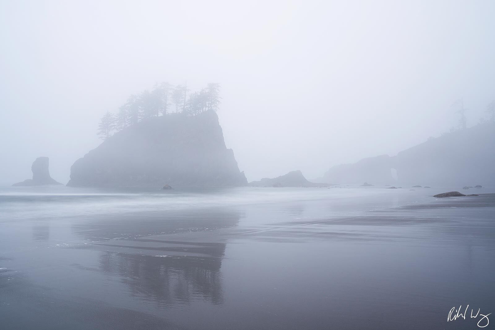 Second Beach Foggy Morning, Olympic National Park, Washington, photo