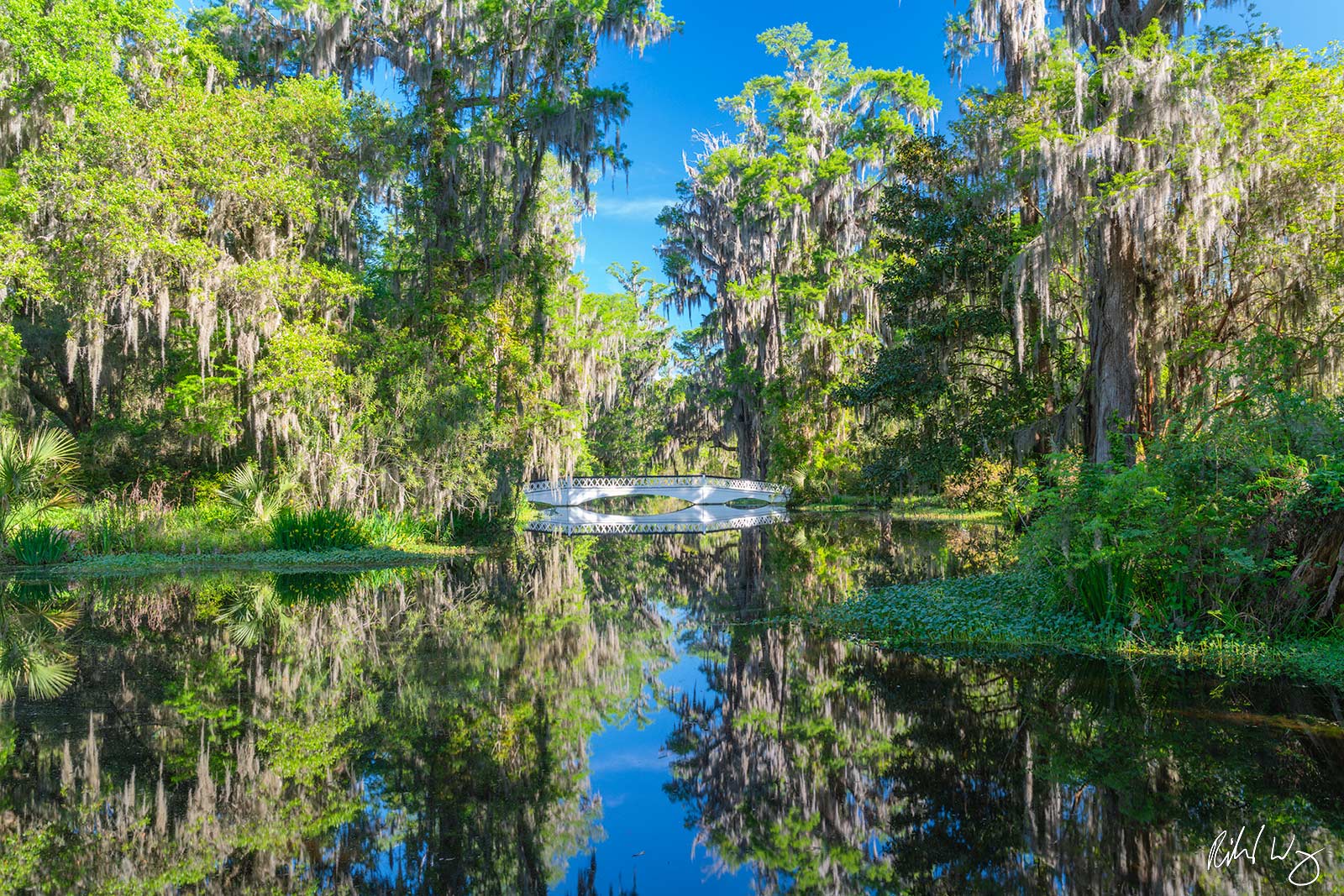 The Long White Bridge, Magnolia Plantation & Gardens, South Carolina, photo