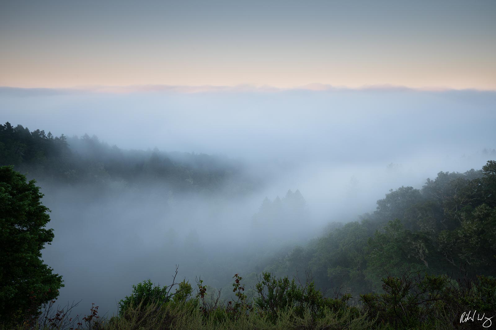 Sunrise Fog, Marin County, California, photo