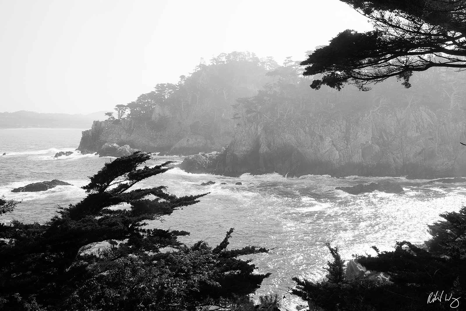 Cypress Grove Trail Overlook, Point Lobos State Natural Reserve, Carmel-by-the-Sea, California, photo