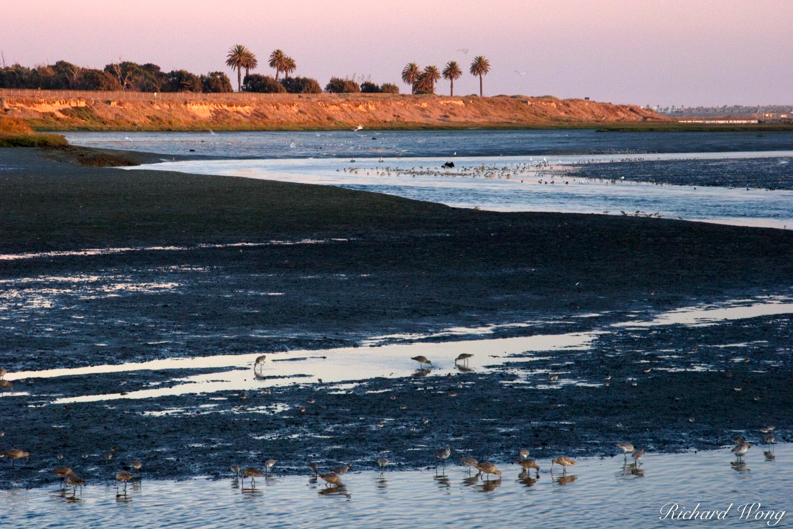 Bolsa Chica Ecological Reserve, Seal Beach, California, photo