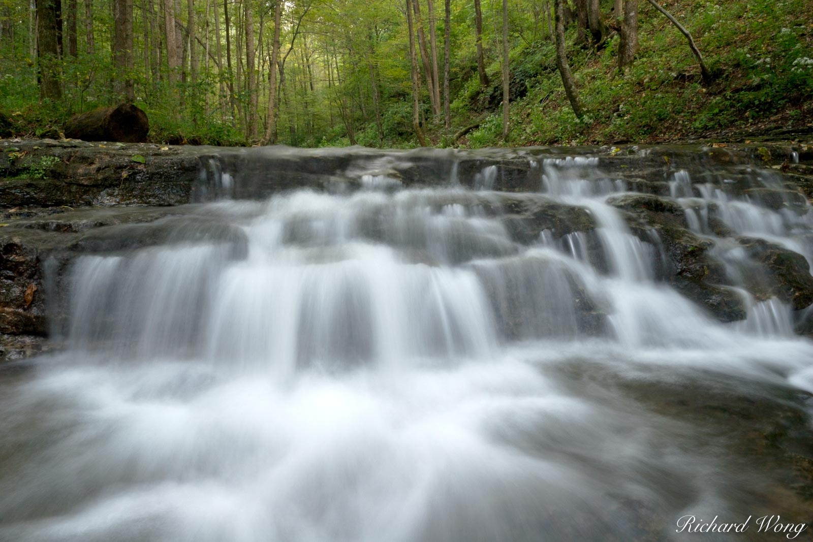 Waterfall on Clifty Creek, Clifty Falls State Park, Indiana