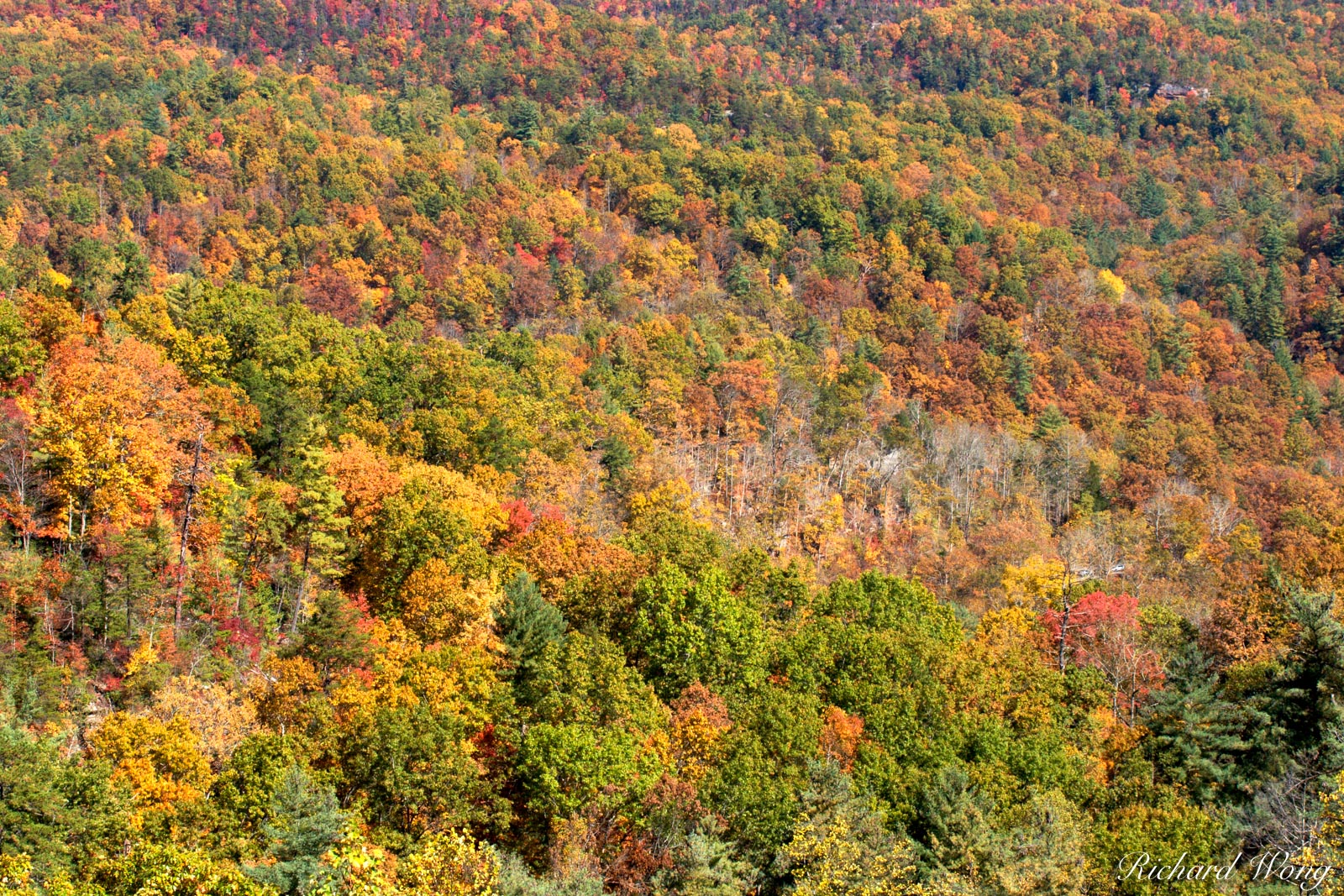 Fall Colors in Appalachia, Kentucky