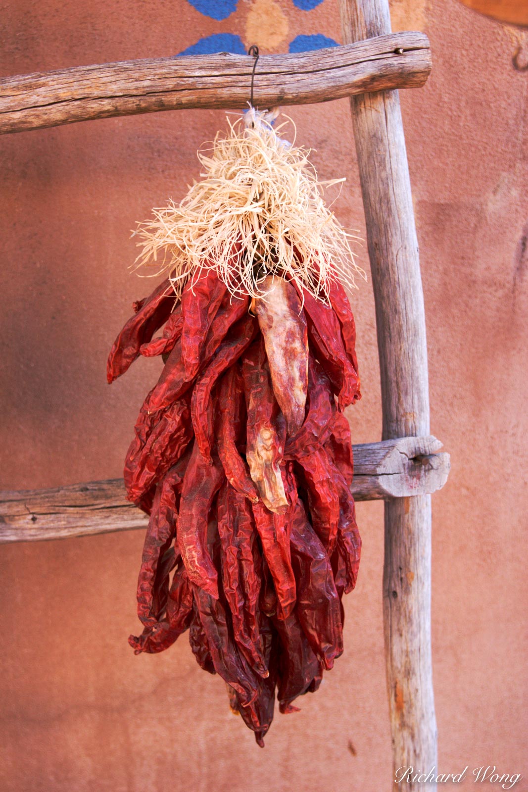 Red Chiles Hanging from Wooden Ladder at Old Town Plaza, Albuquerque, New Mexico
