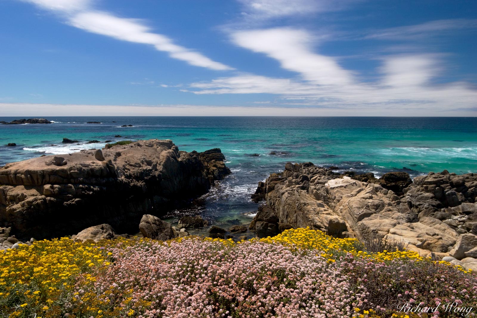 17 Mile Drive Coastal Wildflowers, Pebble Beach, California, photo