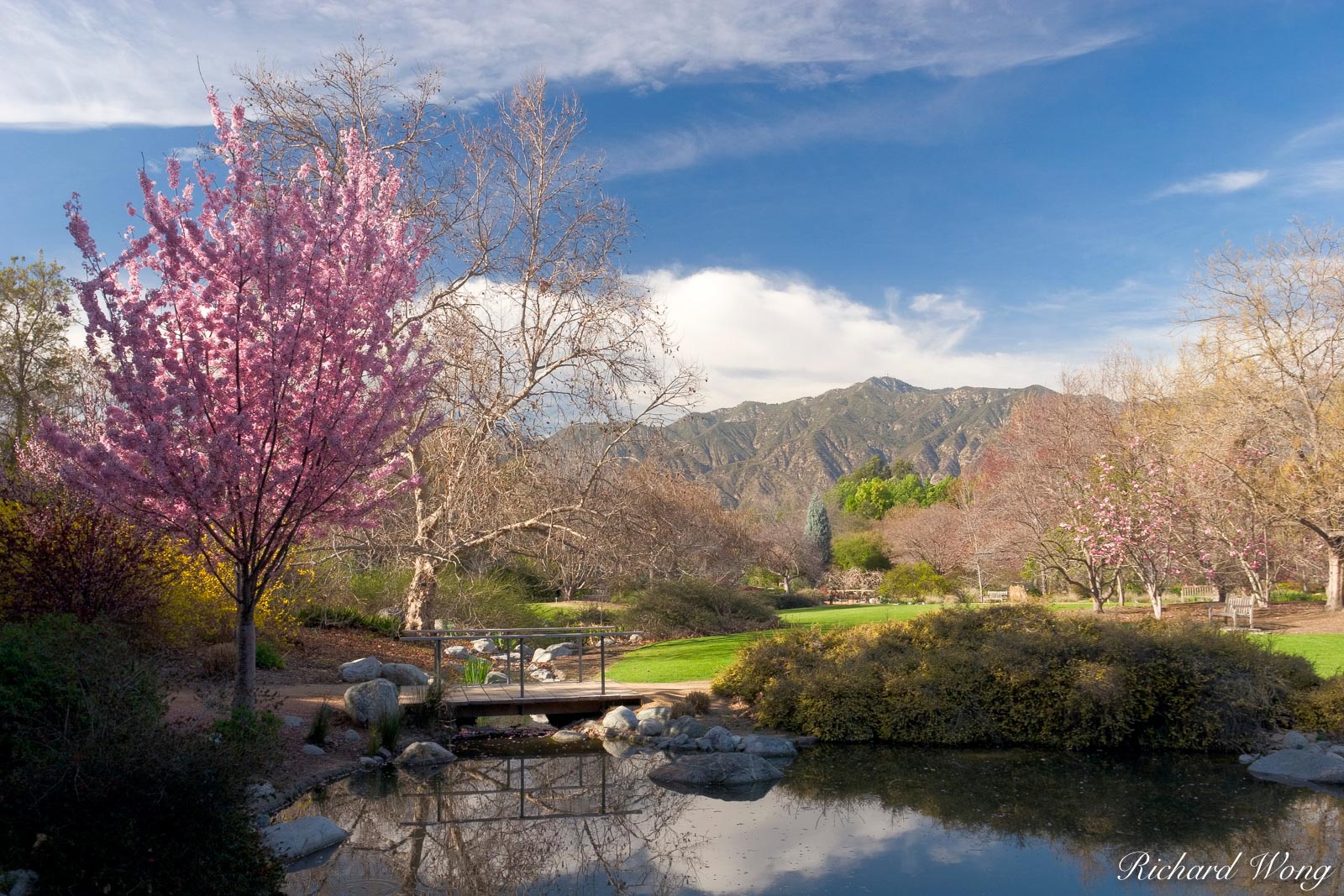 Los Angeles County Arboretum, Arcadia, California