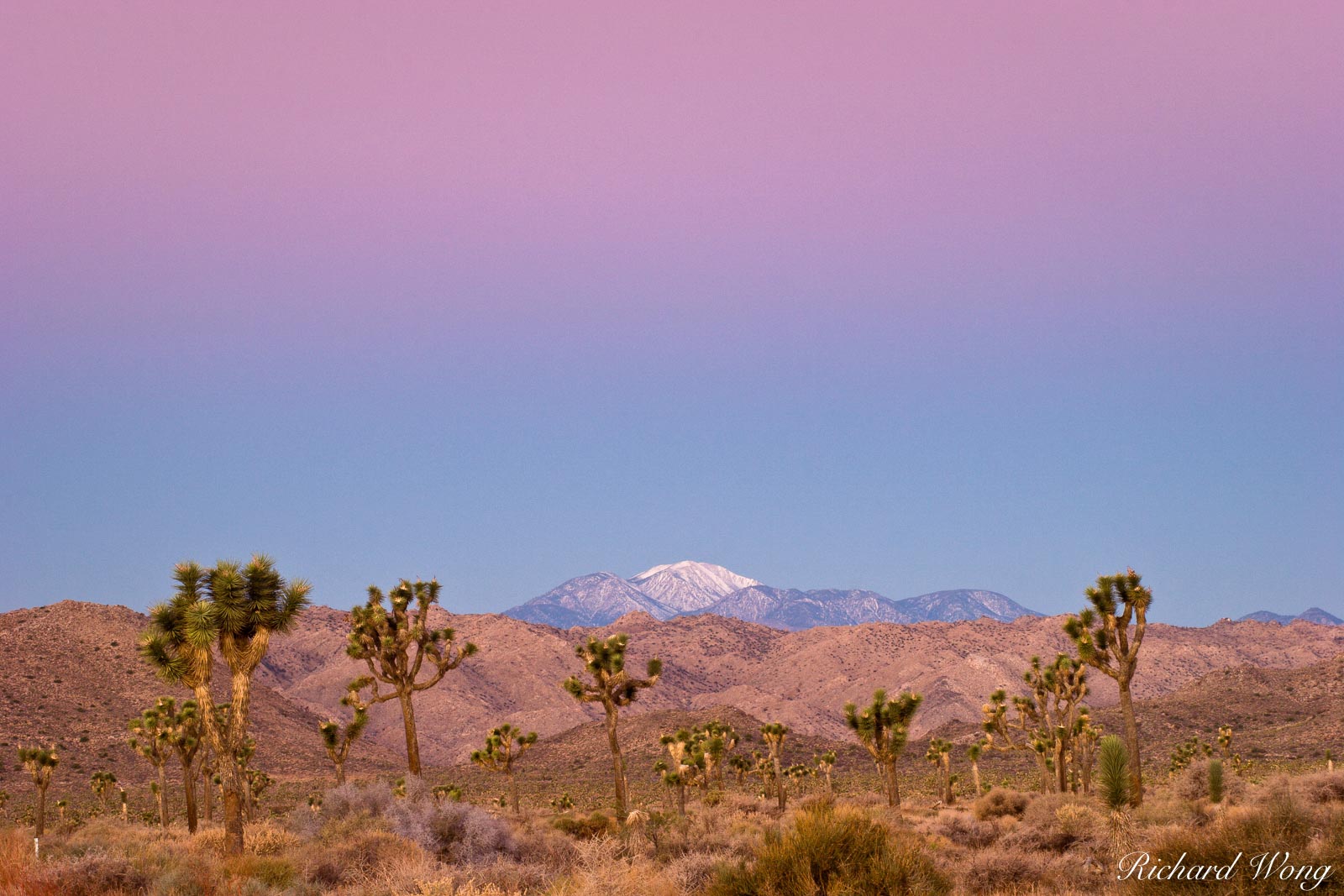 Earth Shadow over Mount San Gorgonio, Joshua Tree National Park, California