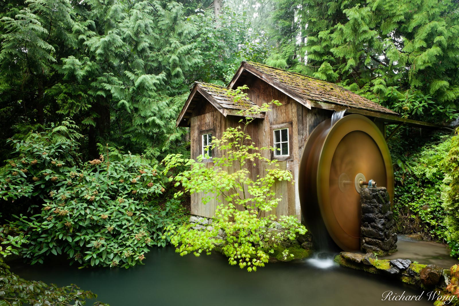 Water Wheel