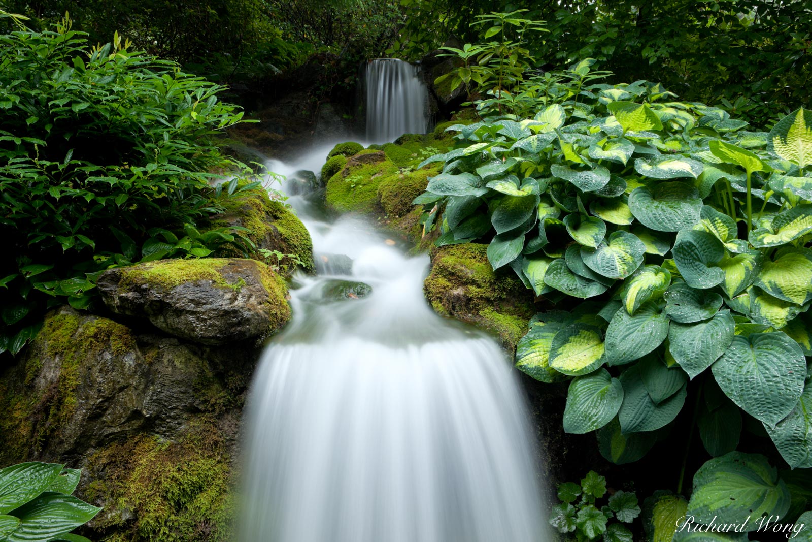 Minter Gardens Waterfall, Chlliwack, British Columbia