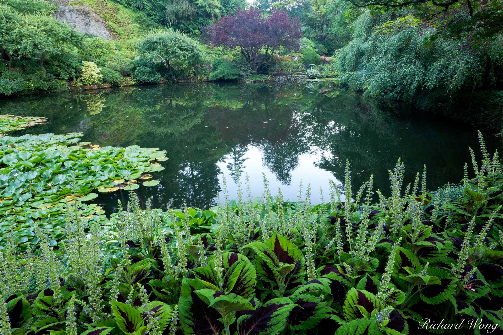 Sunken Garden Pond - Butchart Gardens, Brentwood Bay, B.C.