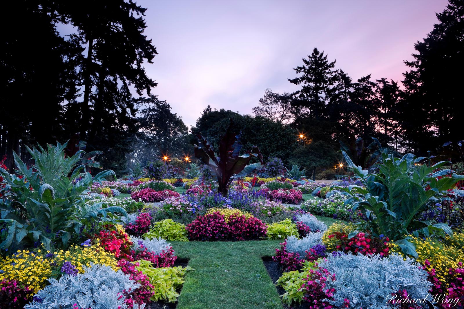 Beacon Hill Park at Sunrise, Victoria, B.C.