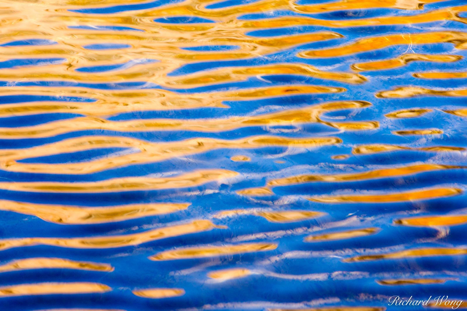 North Lake Fall Color Water Reflection Ripples, Inyo National Forest, California, photo