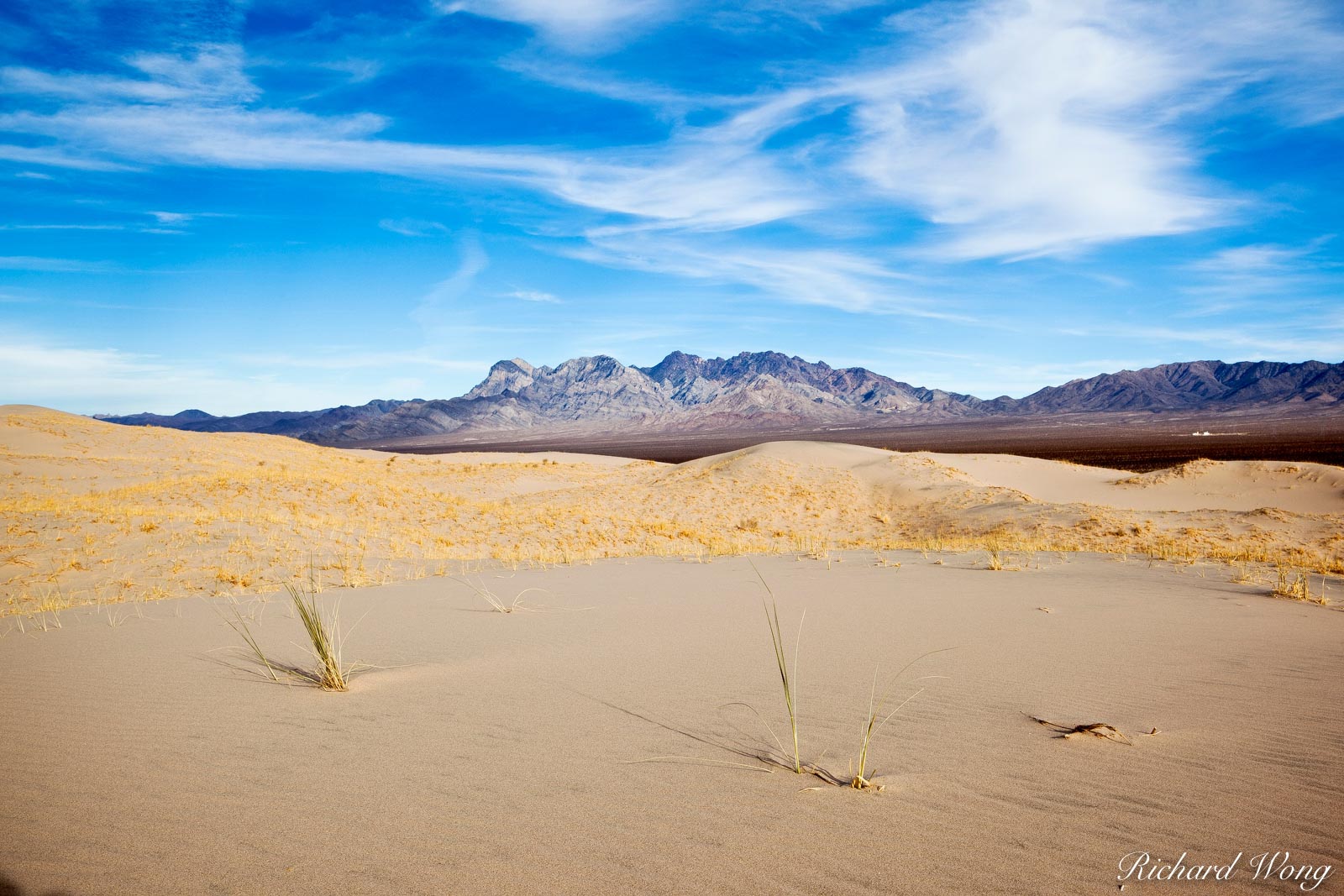 Scenic View of Providence Mountains from Kelso Dunes, Mojave National Preserve, California