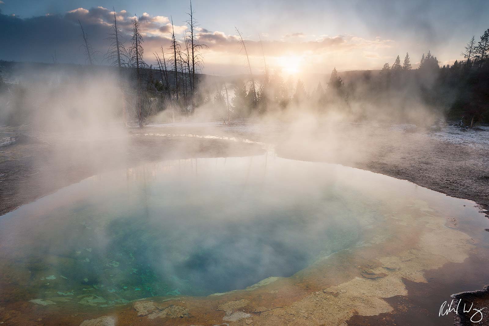 Morning Glory Pool in Upper Geyser Basin, Yellowstone National Park, Wyoming