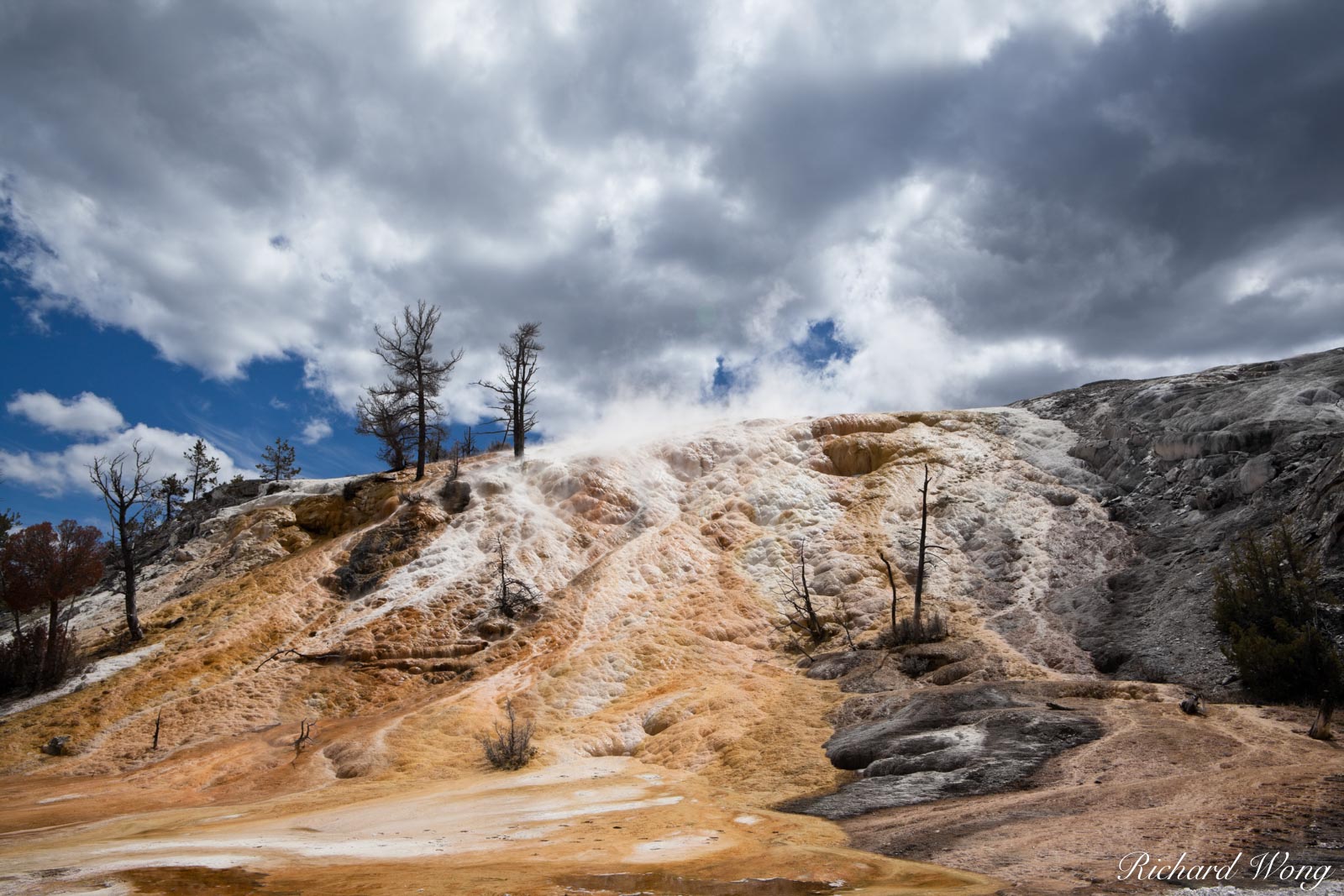 Mammoth Hot Springs Minerva Terrace, Yellowstone National Park, Wyoming
