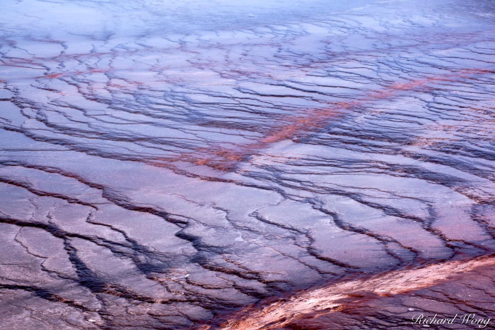 Grand Prismatic Spring Bacterial Mat Patterns, Yellowstone National Park, Wyoming, photo