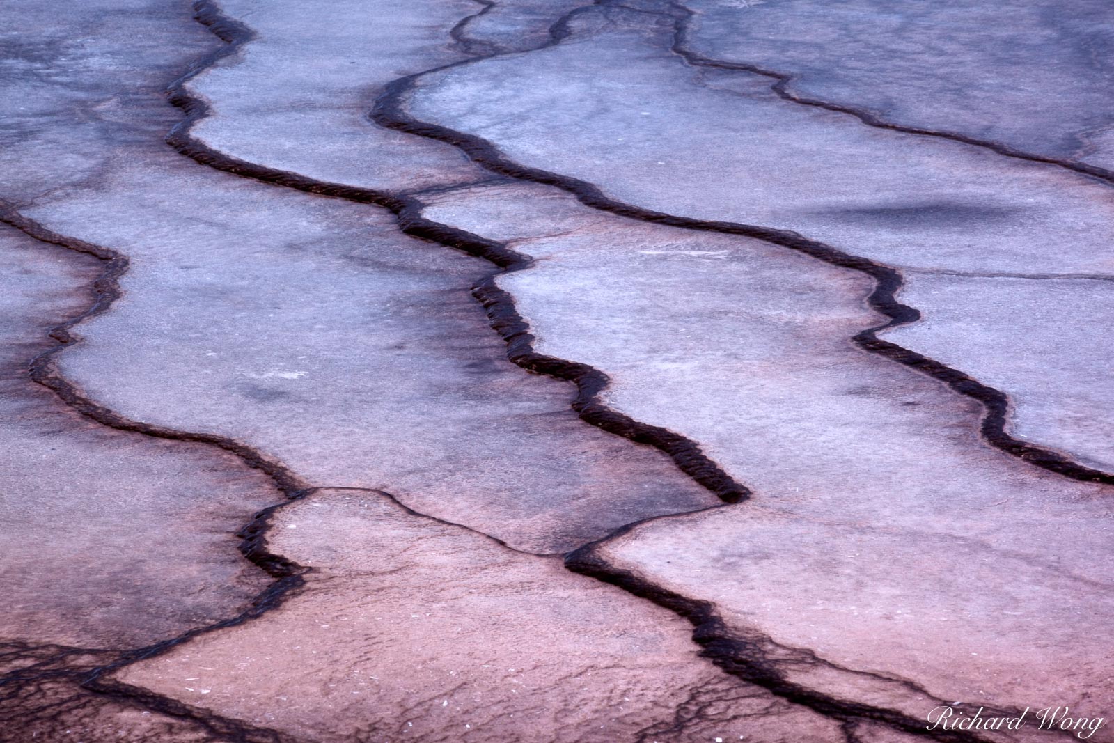 Grand Prismatic Spring Bacterial Mat Patterns, Yellowstone National Park, Wyoming, photo