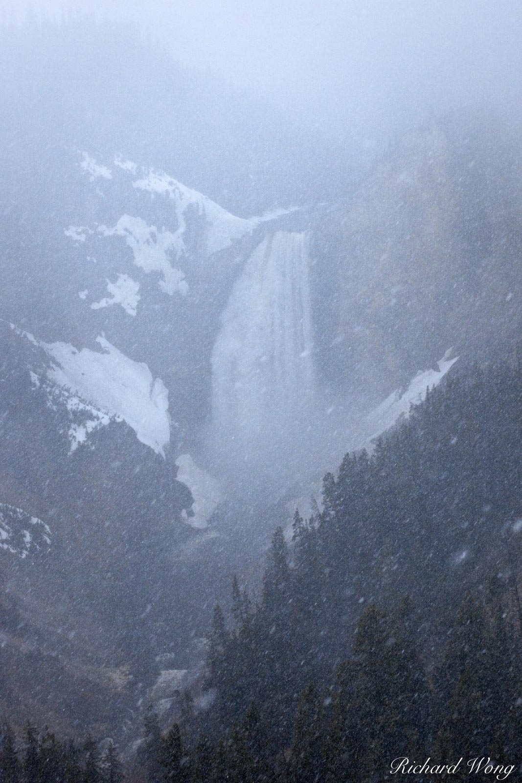 Lower Yellowstone Falls in Snow Storm at North Rim, Yellowstone National Park, Wyoming