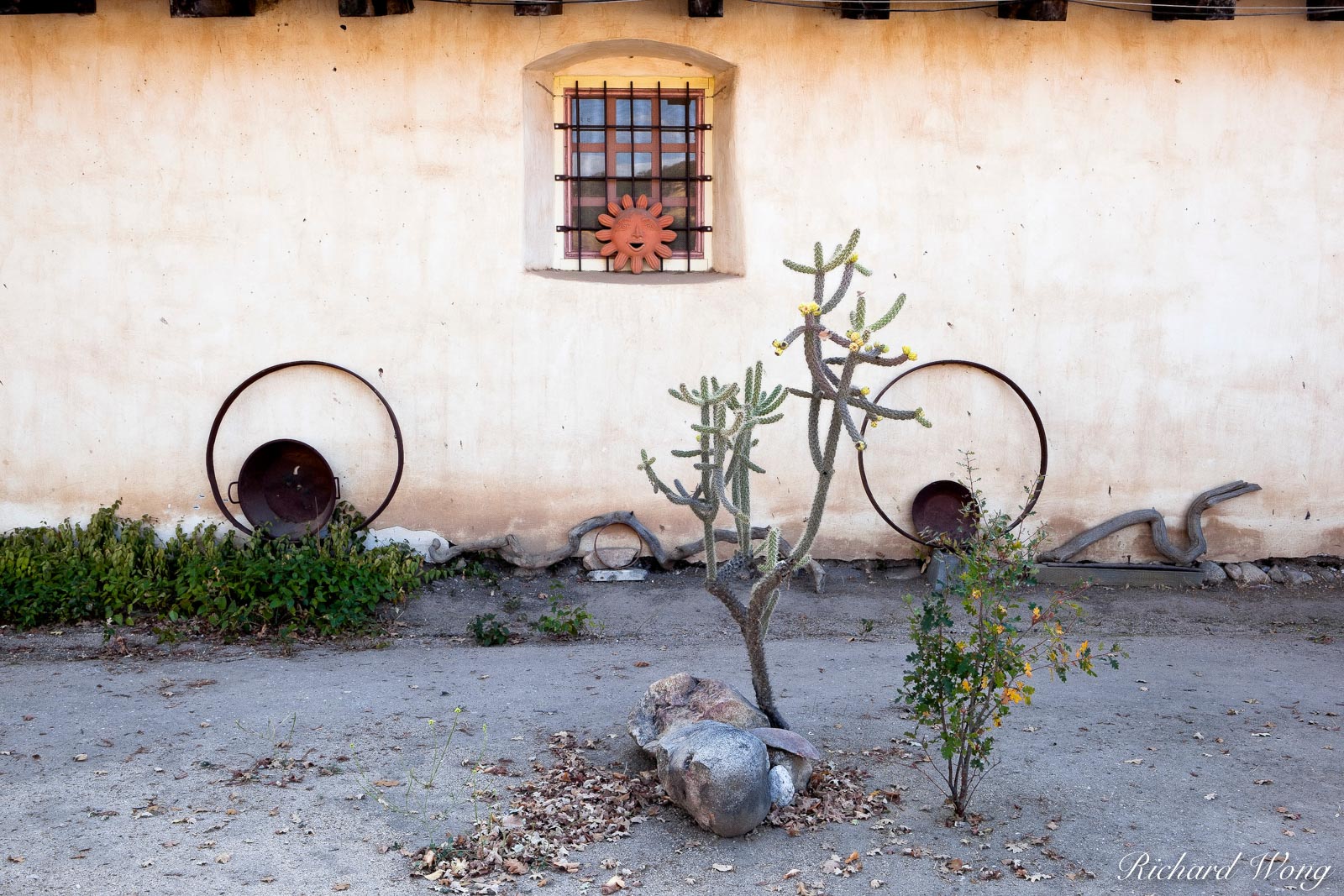 Anthropomorphized Face in Garden at Mission San Antonio de Padua, Monterey County, California