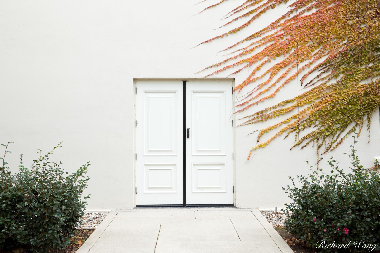 Double White Doors with Fall Foliage Ivy at Virginia Steele Scott Galleries of American Art / The Huntington Library and Botanical Gardens, San Marino, Californ