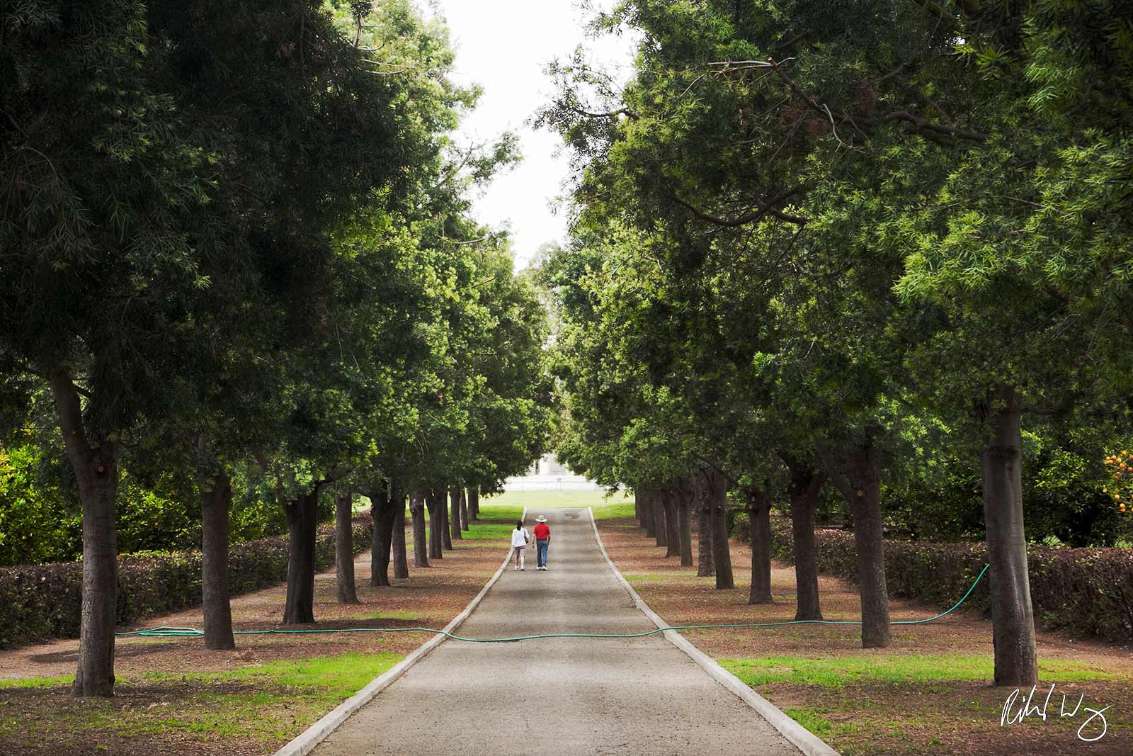 Couple Walking Down Tree-Lined Road Toward Mausoleum at The Huntington, San Marino, California