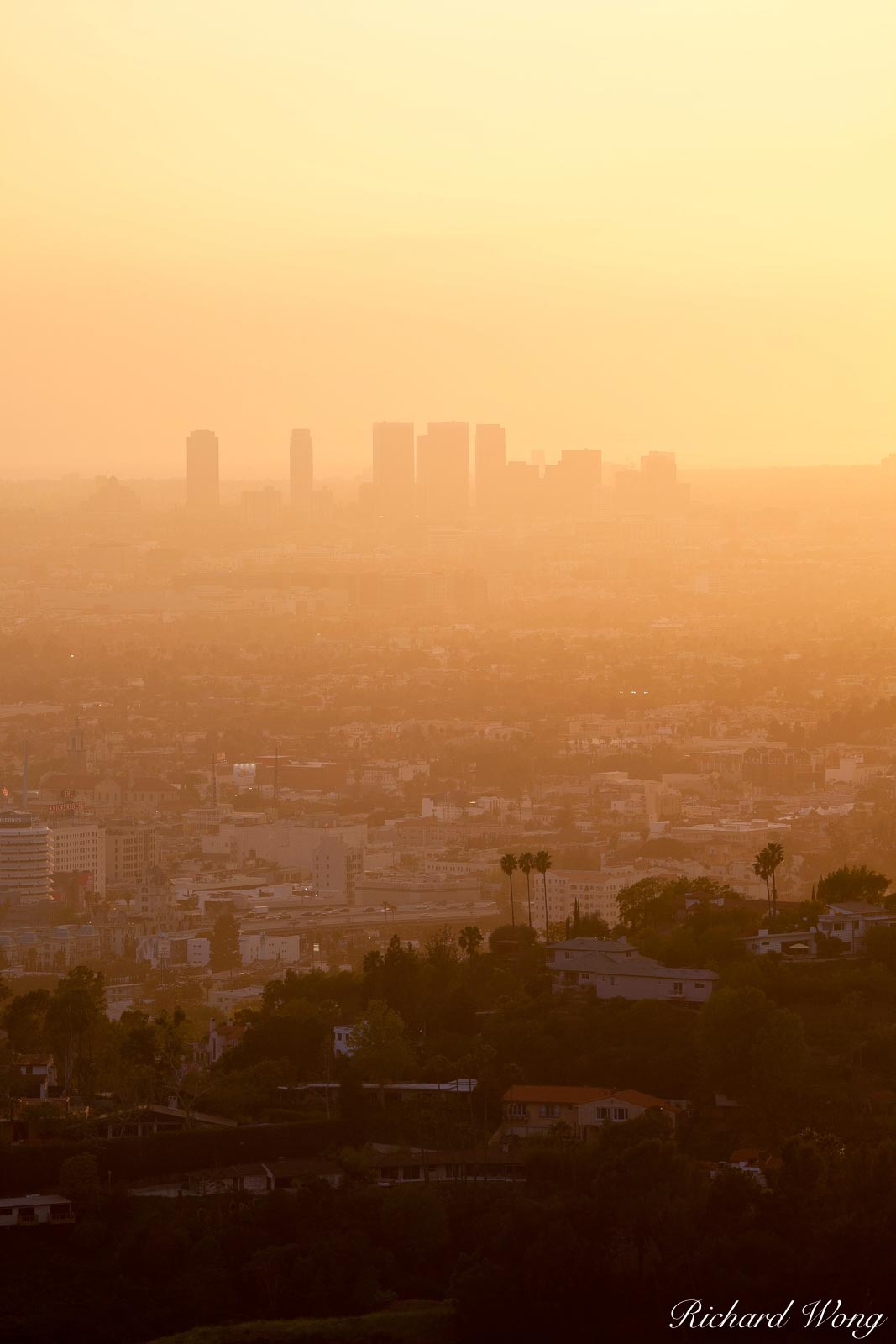 West L.A. Skyrises at Sunset from Griffith Park, Los Angeles, California, photo