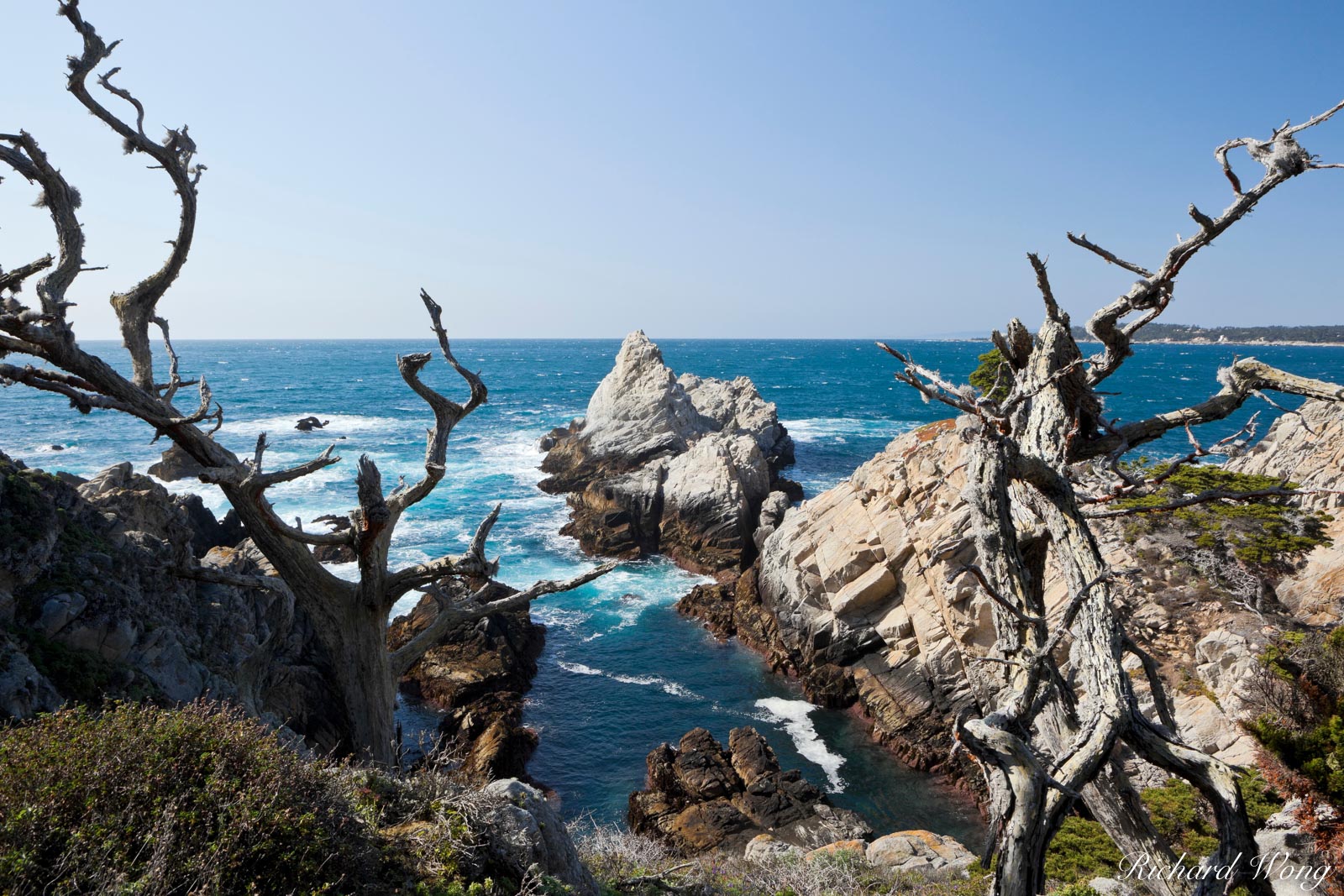 Monterey Cypress Trees Framing Scenic Vista Along Allan Memorial Grove Trail, Point Lobos State Reserve, California, photo