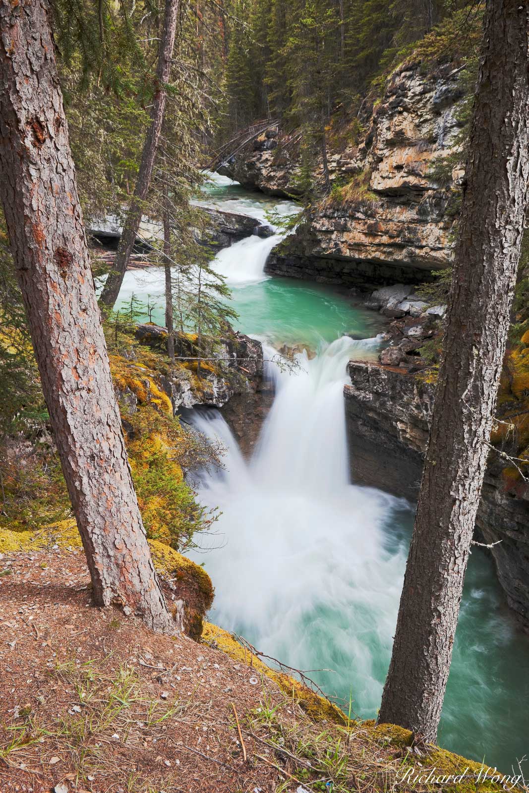 Small Waterfall Along Johnston Creek in Johnston Canyon, Banff National Park, Alberta, Canada, photo