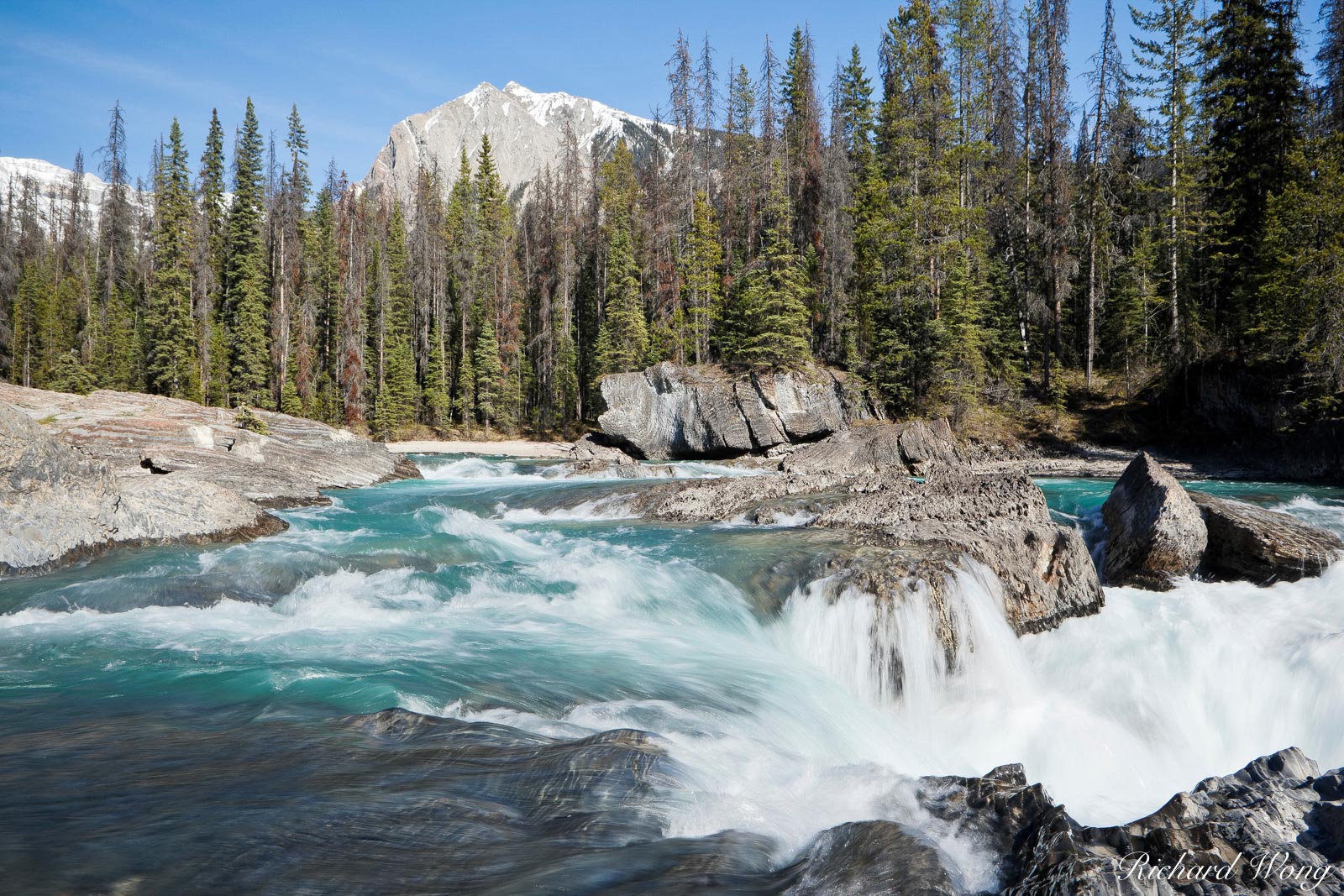 Powerful Rapids of Kicking Horse River About to Flow Through Natural Bridge with Mt. Dennis in Background, Yoho National Park, British Columbia, Canada, Photo