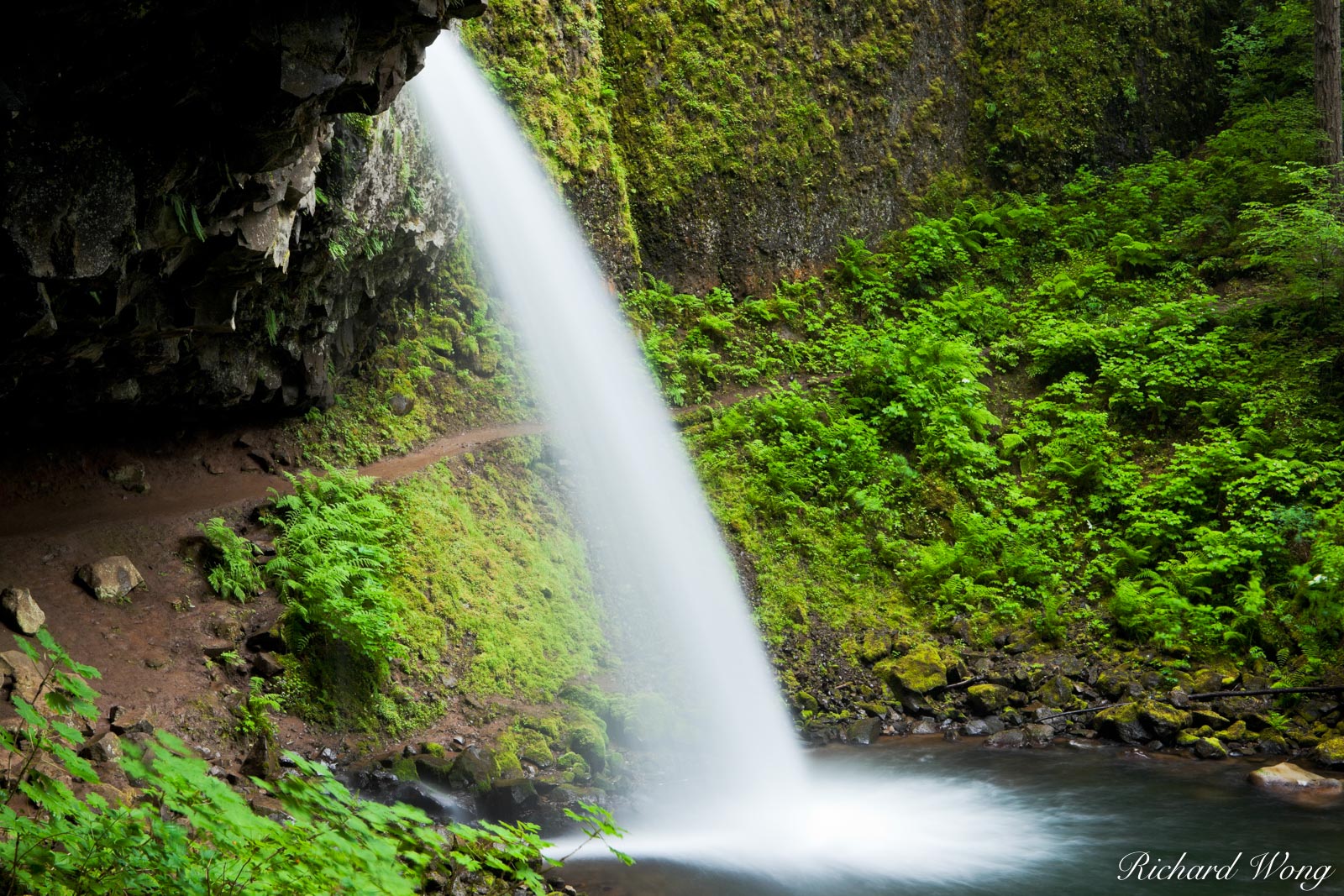 Ponytail Falls, Columbia River Gorge National Scenic Area, Oregon, photo