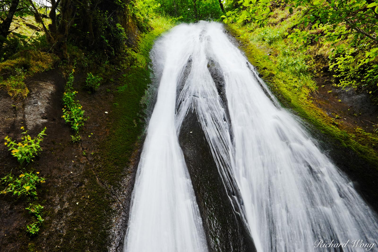 Munras Falls / Tanner Creek, Columbia River Gorge National Scenic Area, Oregon, photo