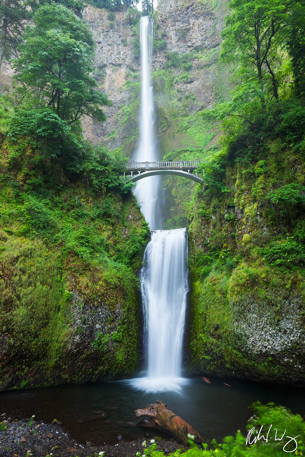 Multnomah Falls, Columbia River Gorge National Scenic Area, Oregon, photo