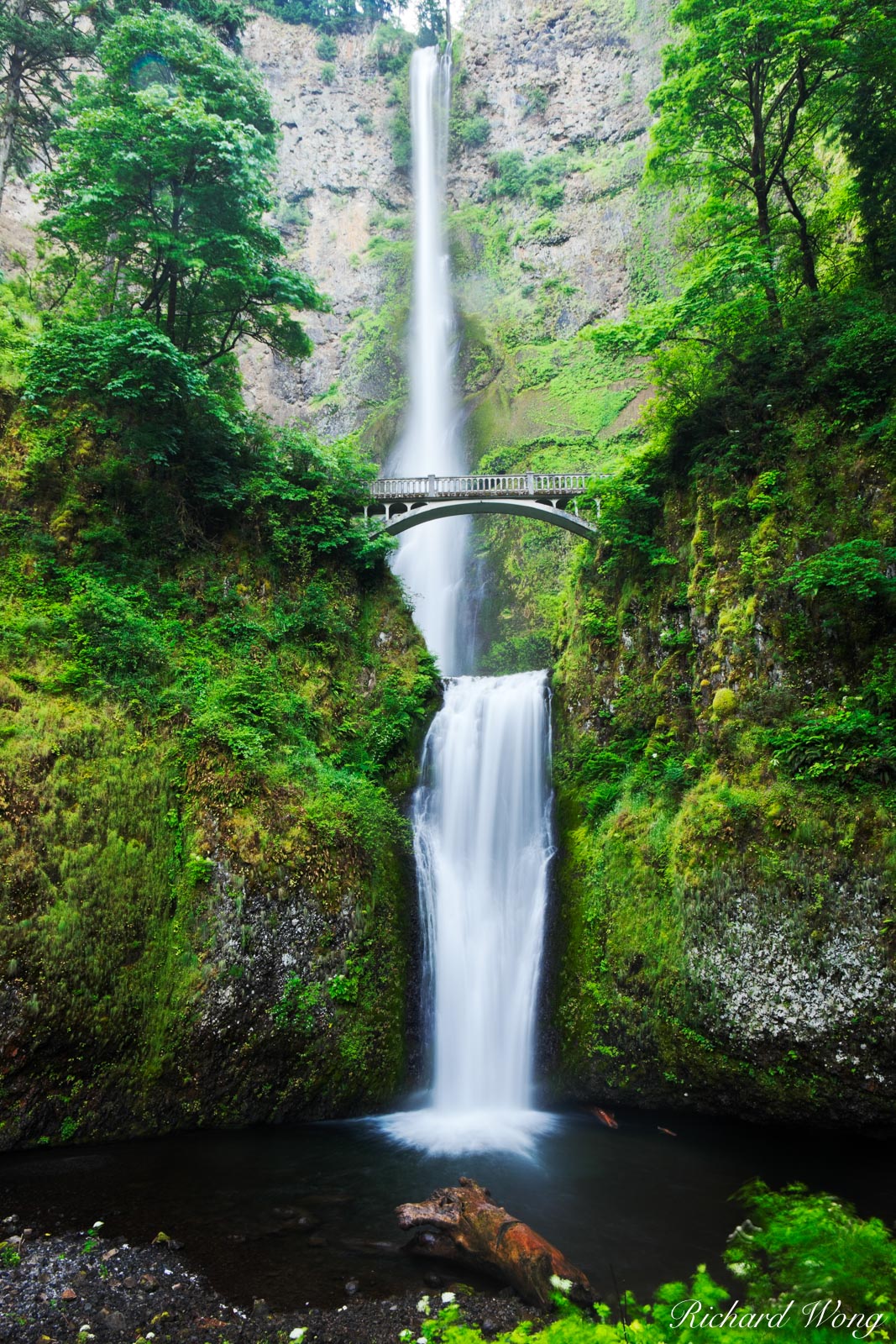 Multnomah Falls Columbia River National Scenic Area, Oregon