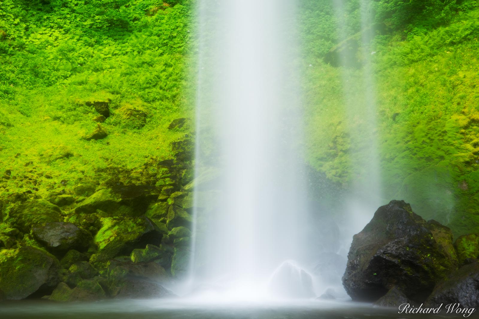 Elowah Falls / John B. Yeon State Park, Columbia River Gorge National Scenic Area, Oregon, photo