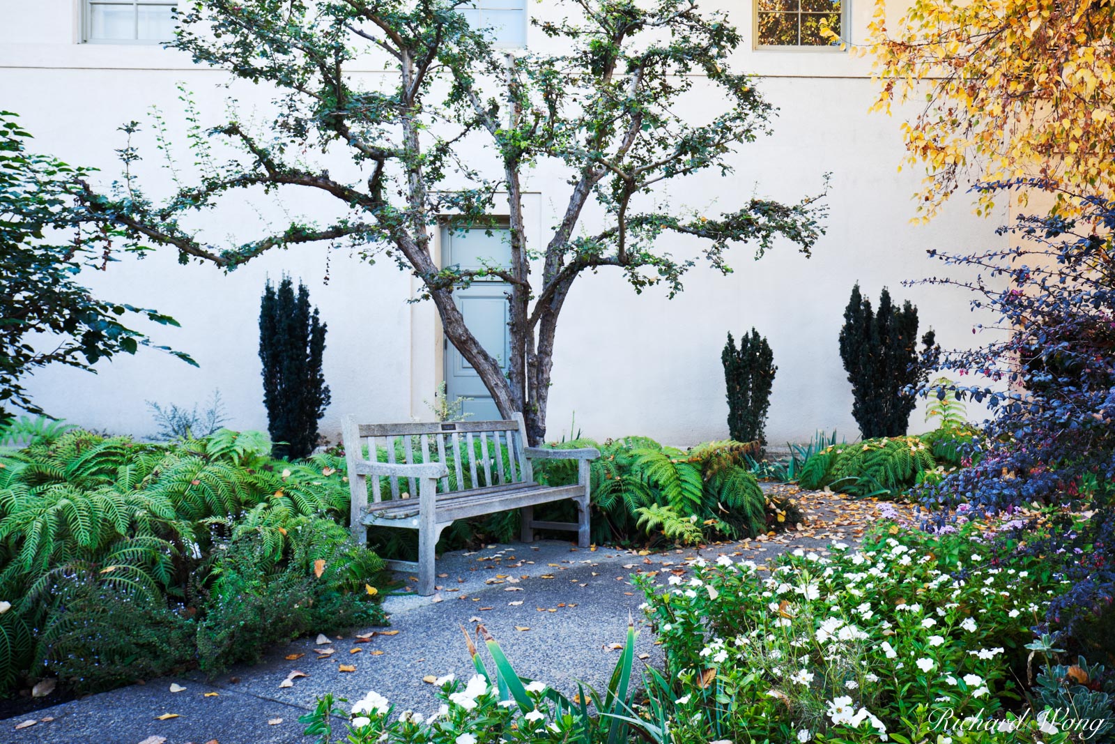 Shakespeare Garden in Fall at Huntington Botanical Gardens, San Marino, California