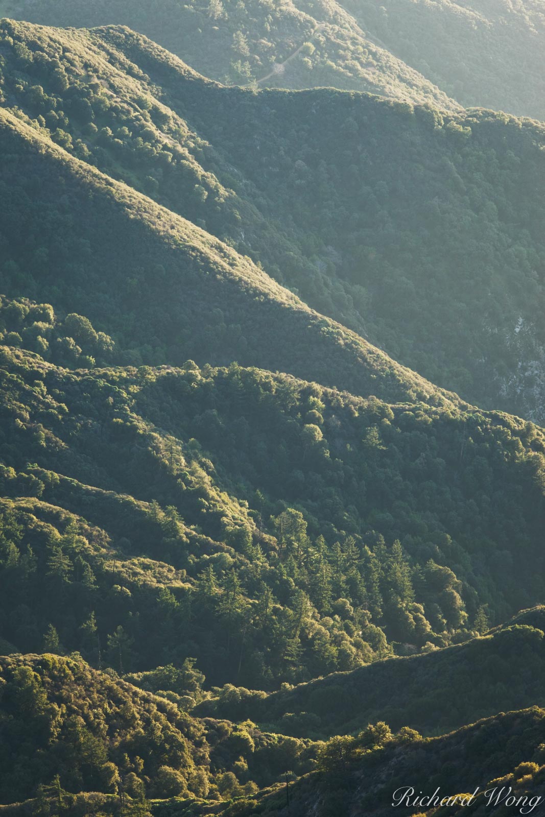 Transpression Ridges in San Gabriel Mountains, Angeles National Forest, California, photo