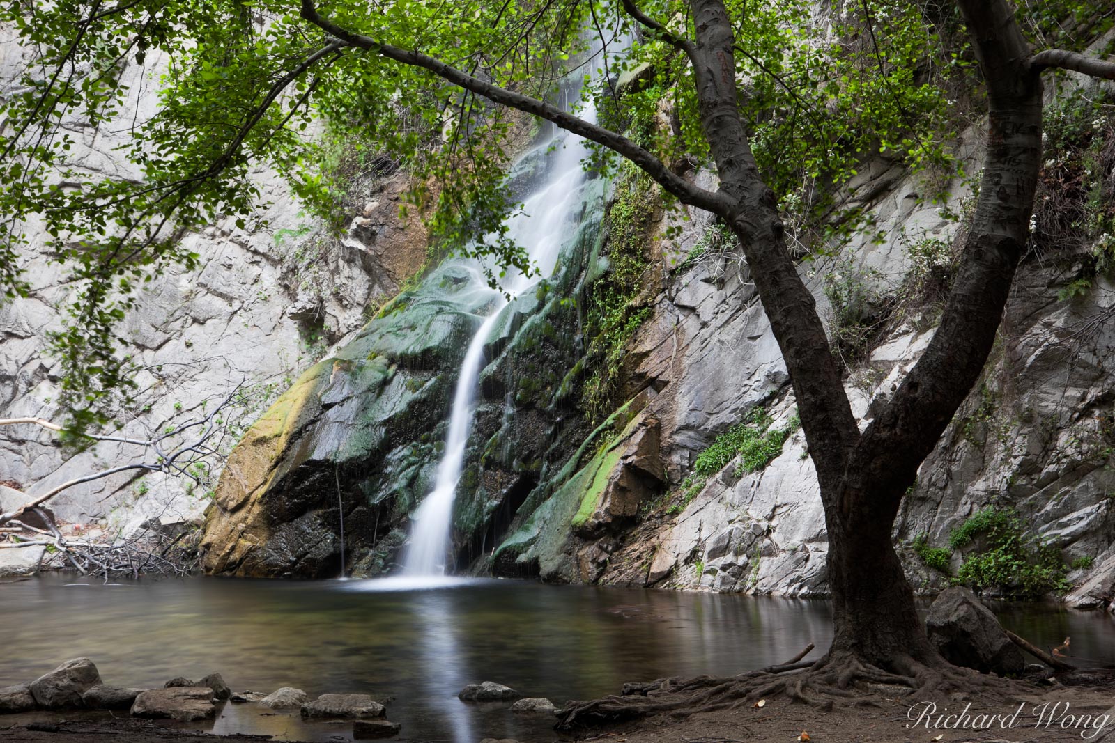 Sturtevant Falls Photo Richard Wong Photography