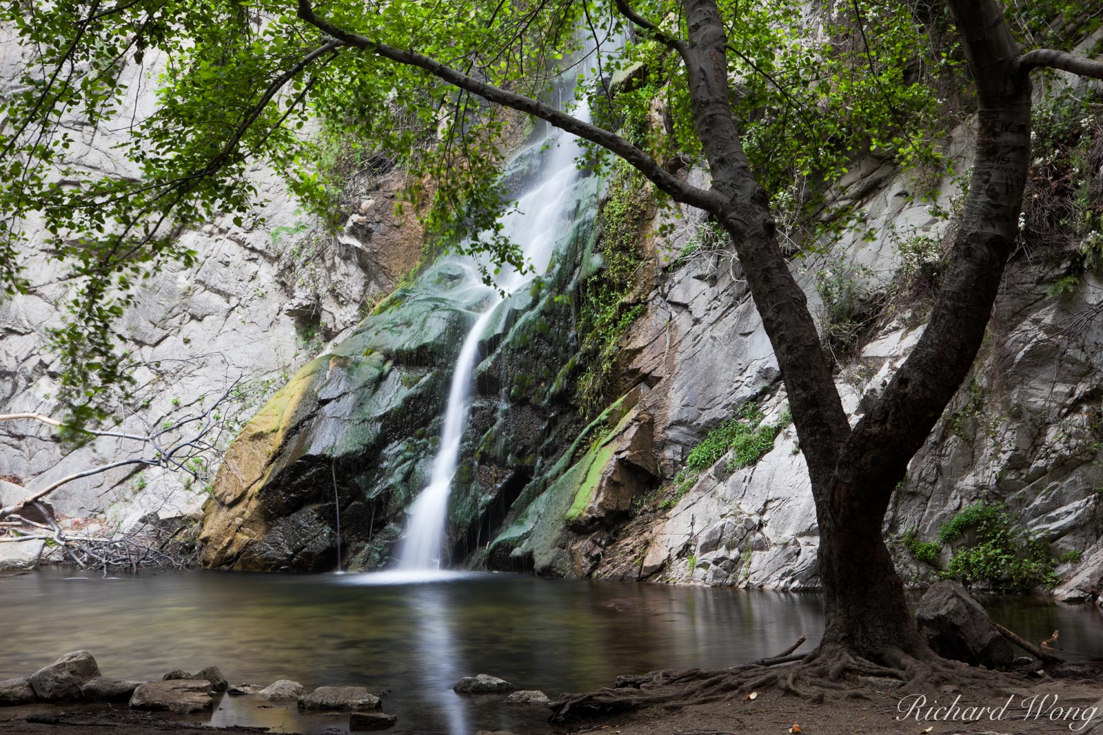 Sturtevant Falls at Big Santa Anita Canyon, Angeles National Forest, California