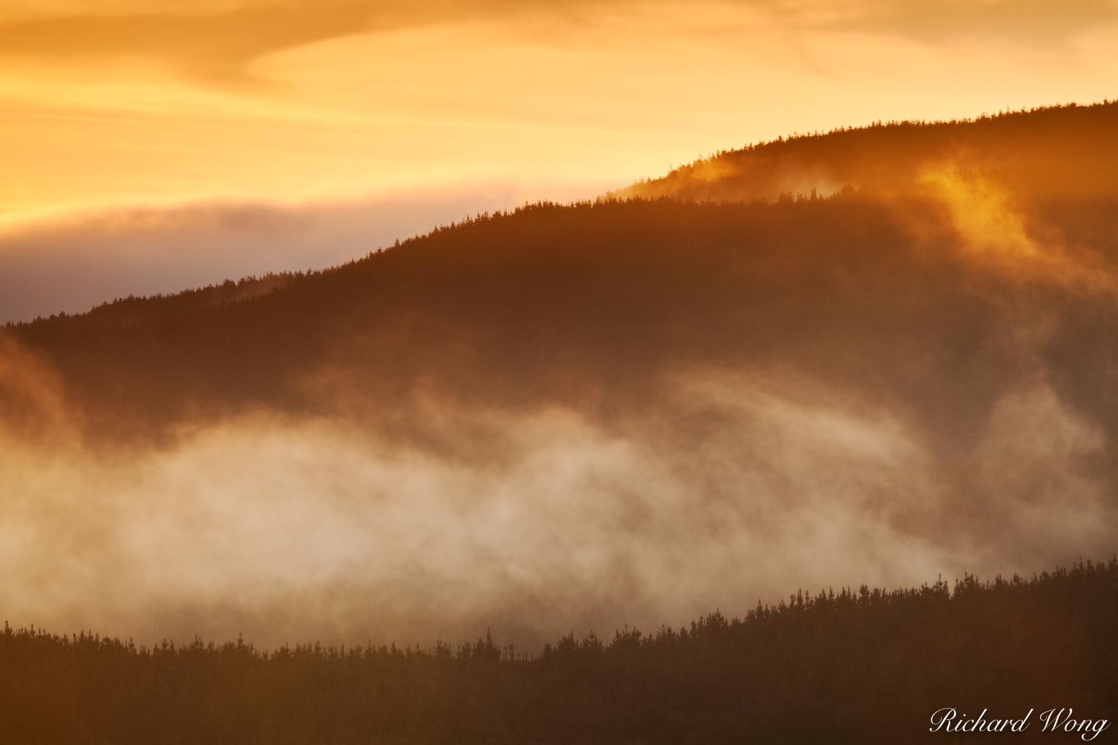 Fog Rolling in Over a Coastal Ridge at Sunset, Point Reyes National Seashore, California, photo