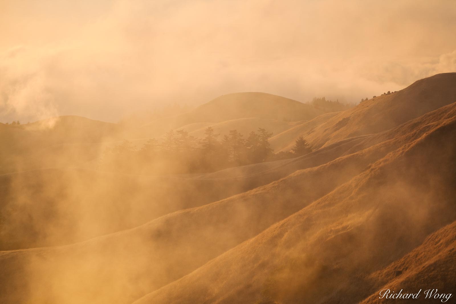 Fog Rising Up Slopes of Bolinas Ridge at Sunset, Mount Tamalpais State Park, California