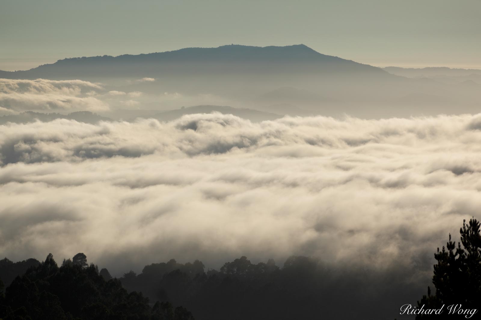 Vollmer Peak Scenic View of Bay Area Fog at Sunset With Mount Tamalpais in Background, Tilden Regional Park, California