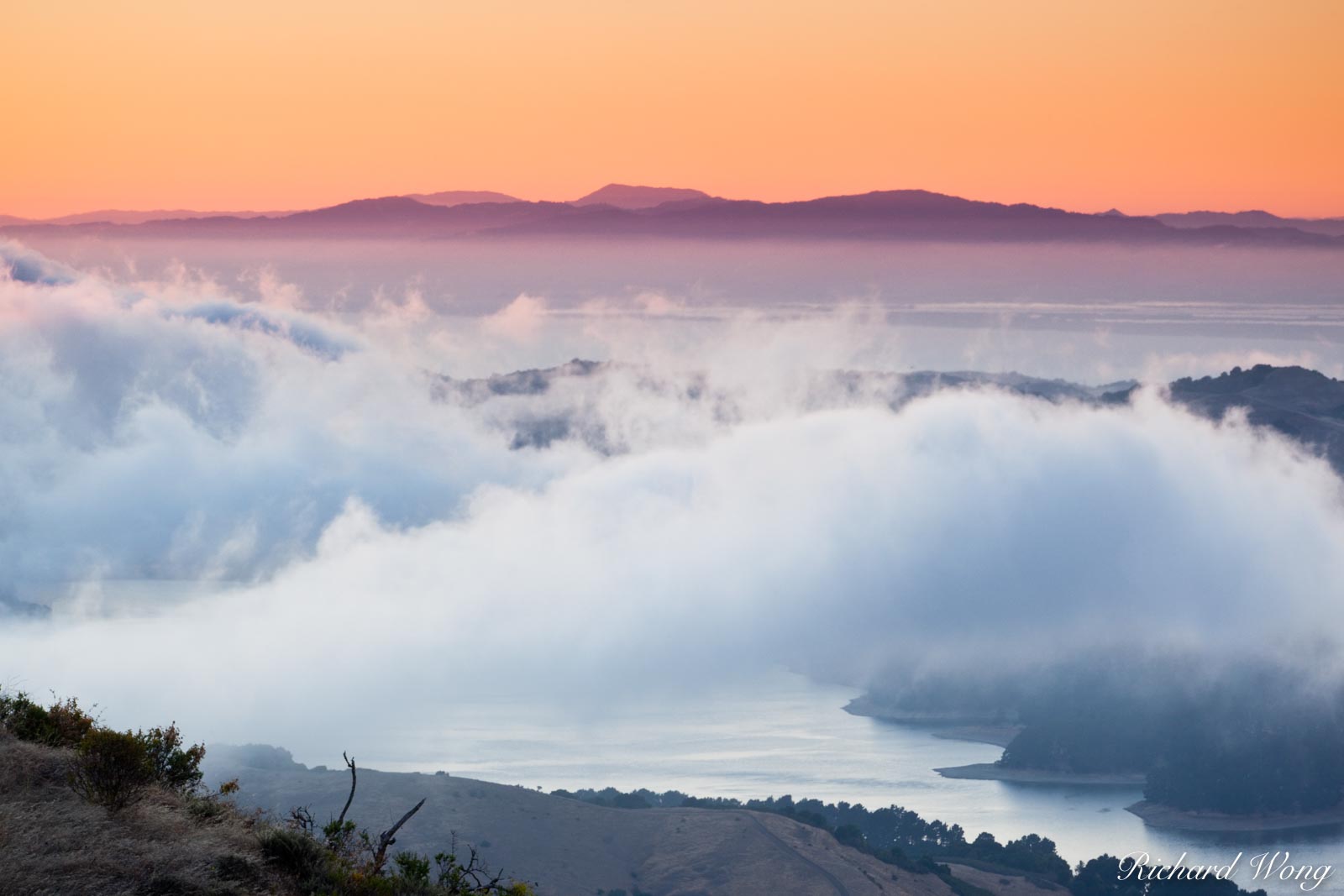 View of Sunset Fog Above San Pablo Reservoir From Tilden Regional Park, Berkeley Hills, California