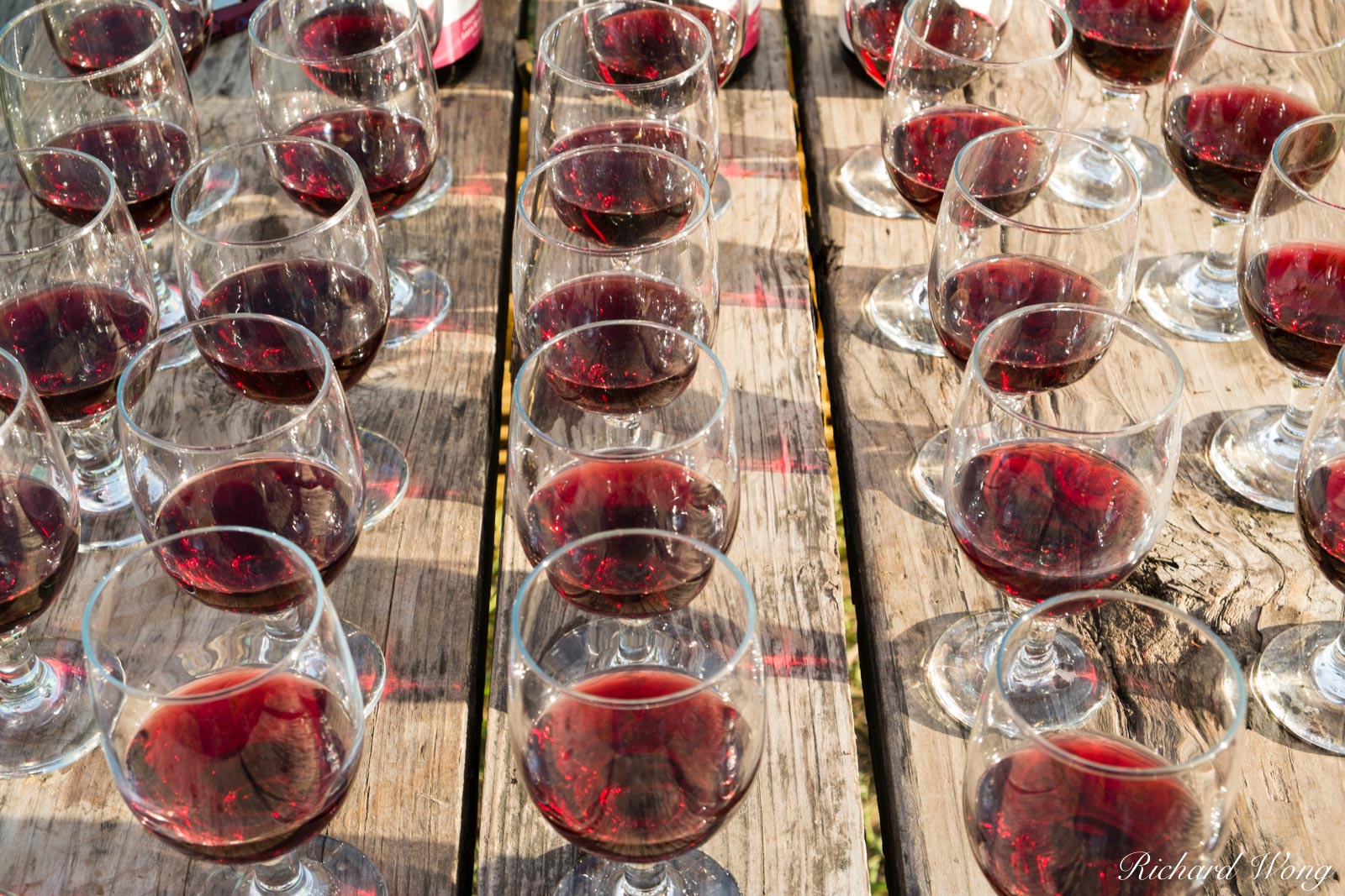 Pinot Noir Wine Tasting for Backroads Guests at Olema Campground, California, photo