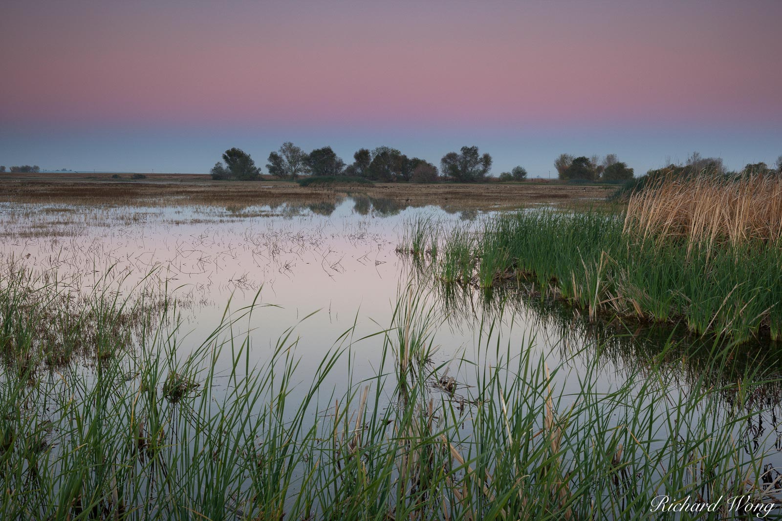 Marsh at Dusk, Merced National Wildlife Refuge, California