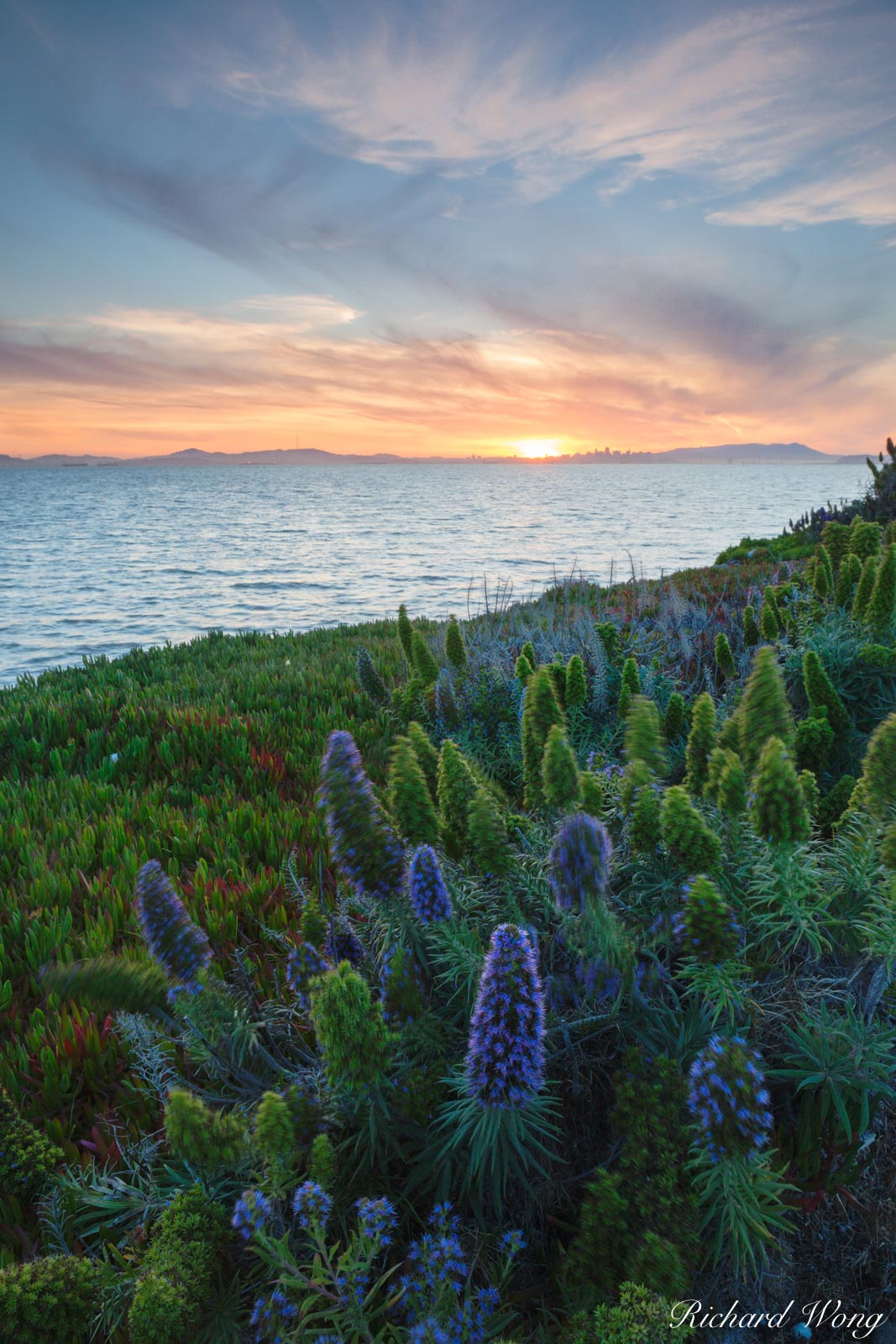 Pride of Madeira Sunset at Harbor Bay, Alameda, California