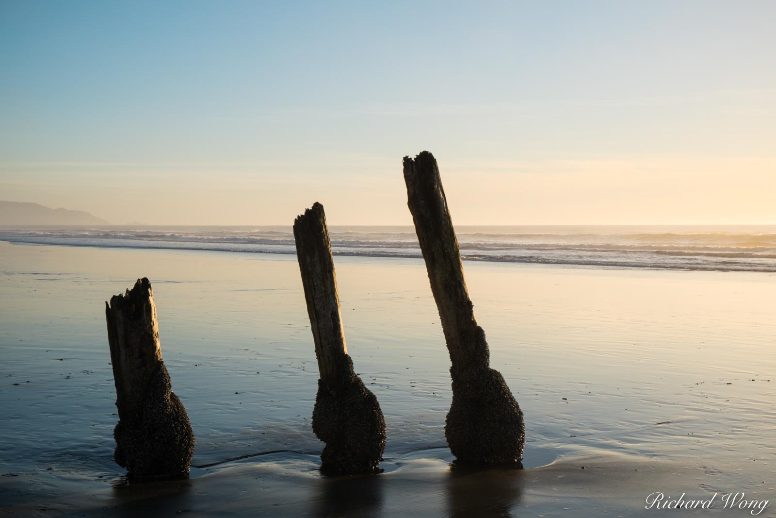 Old Pier Pilings at Ocean Beach near Fort Funston, San Francisco, California