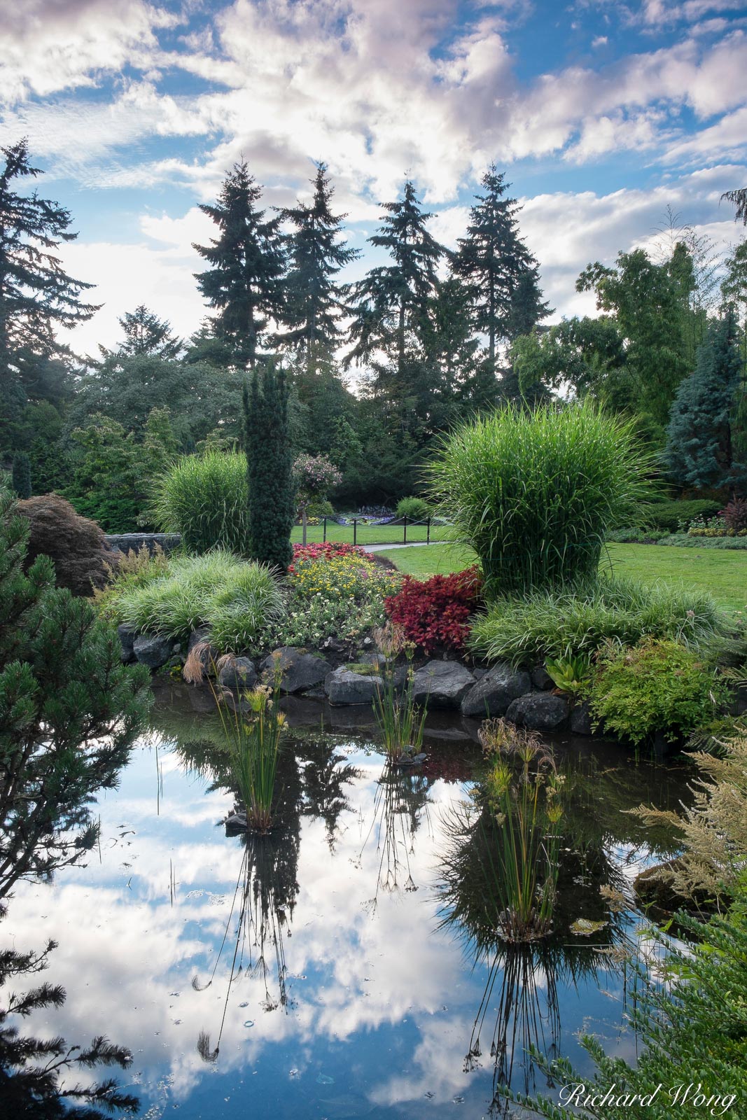 Pond Reflections in Quarry Garden at Queen Elizabeth Park, Vancouver, B.C.