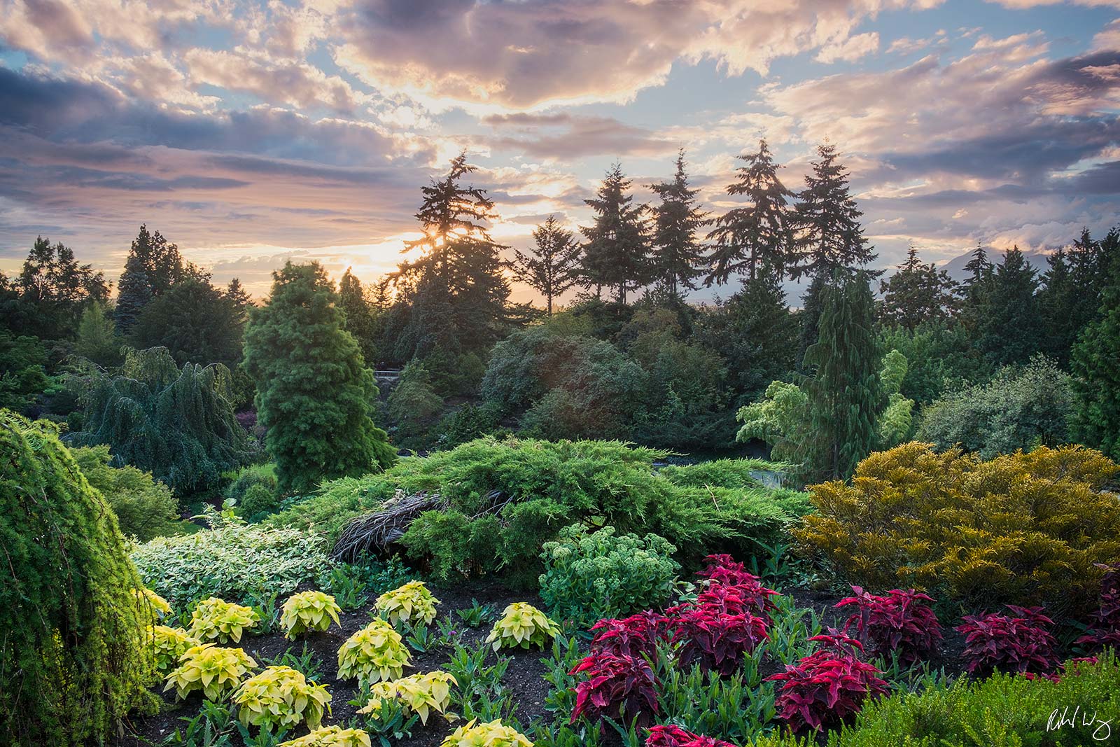 Queen Elizabeth Park at Sunset, Vancouver, B.C.