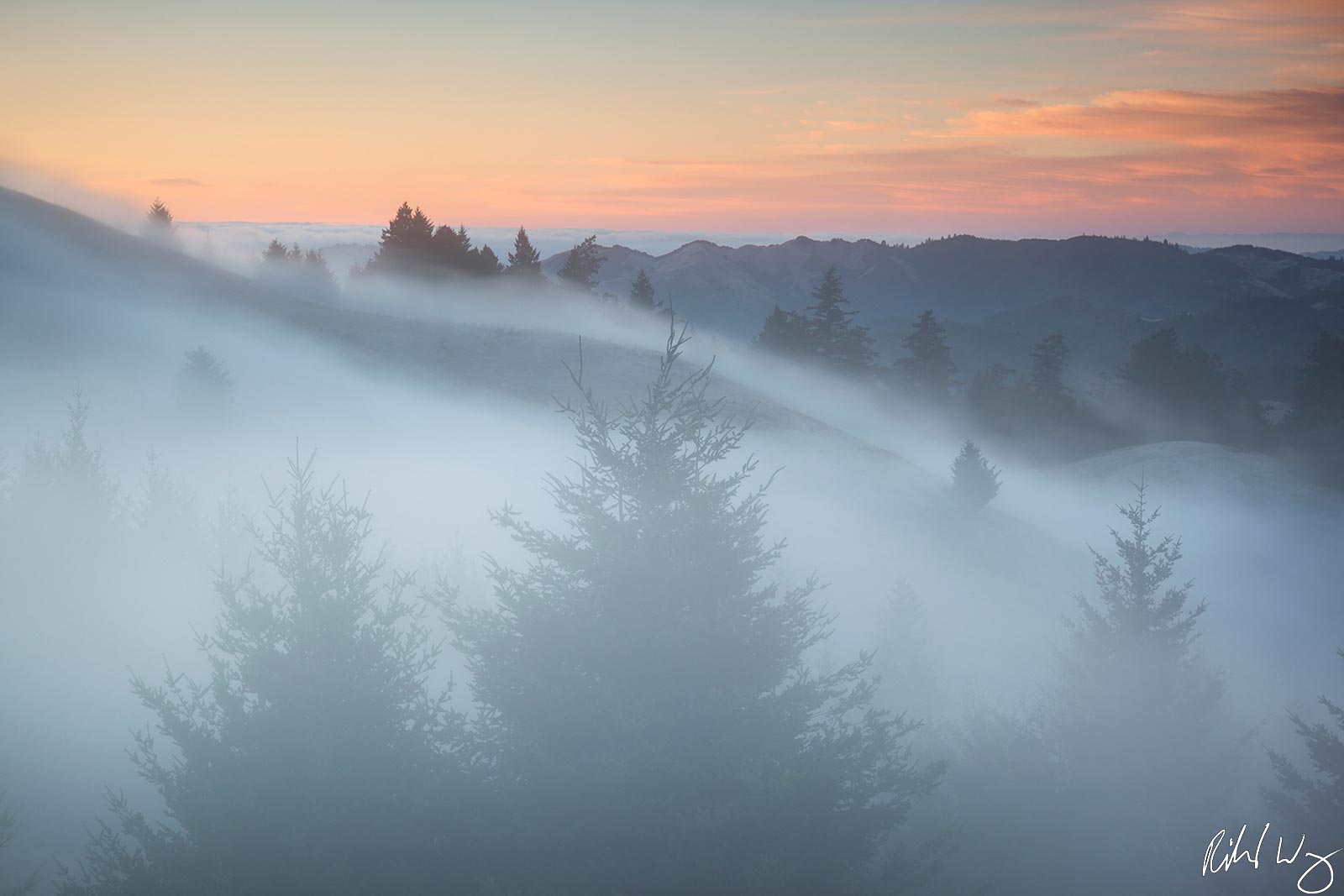 Fog Rolling Over Bolinas Ridge, Mount Tamalpais State Park, California