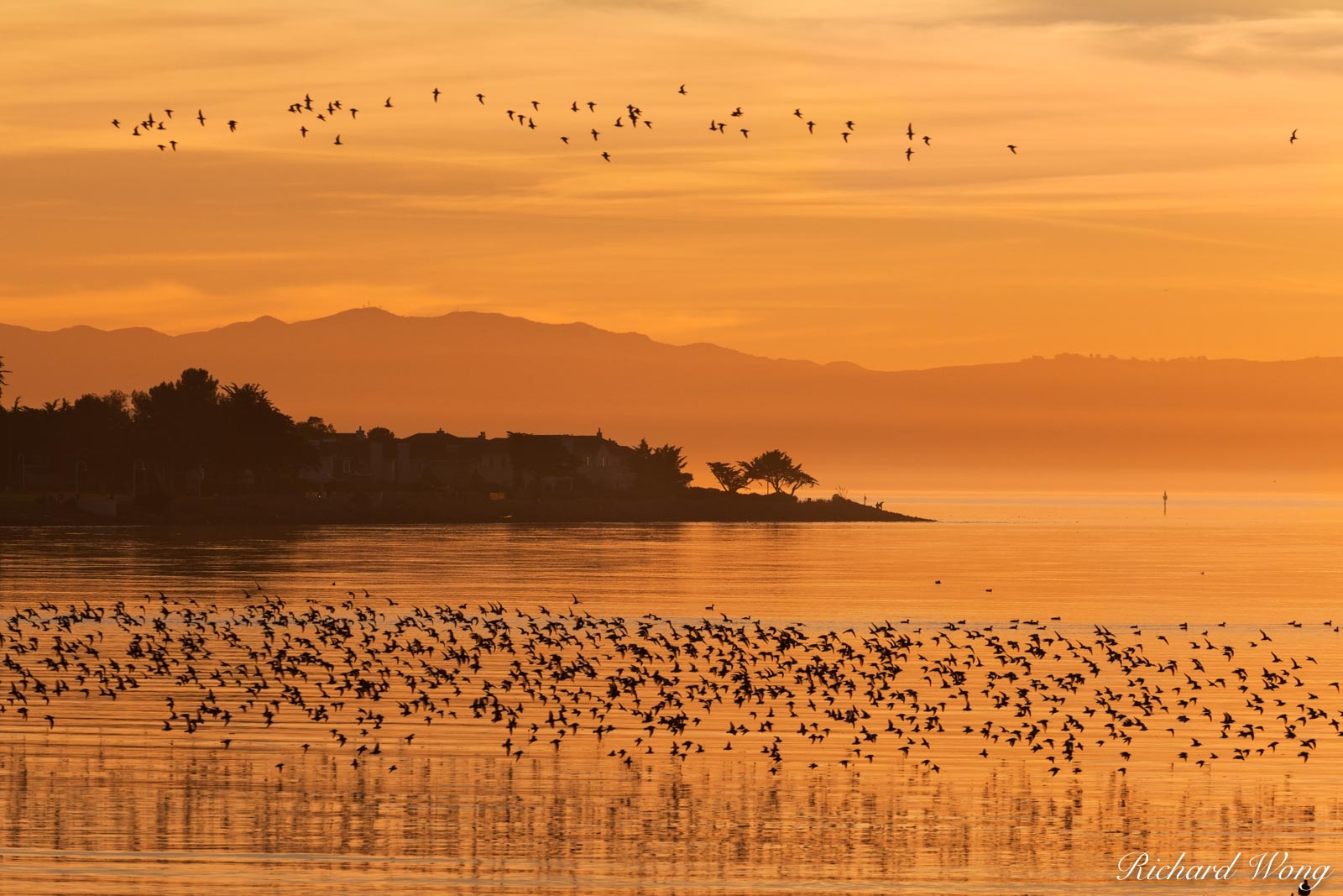 Elsie Roemer Bird Sanctuary at Sunset, Alameda, California